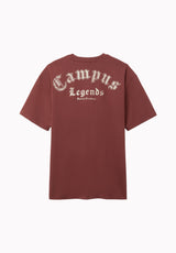 Tulio Men's Vintage Bull Skull Graphic Tee, Red Mahogany - BM24964